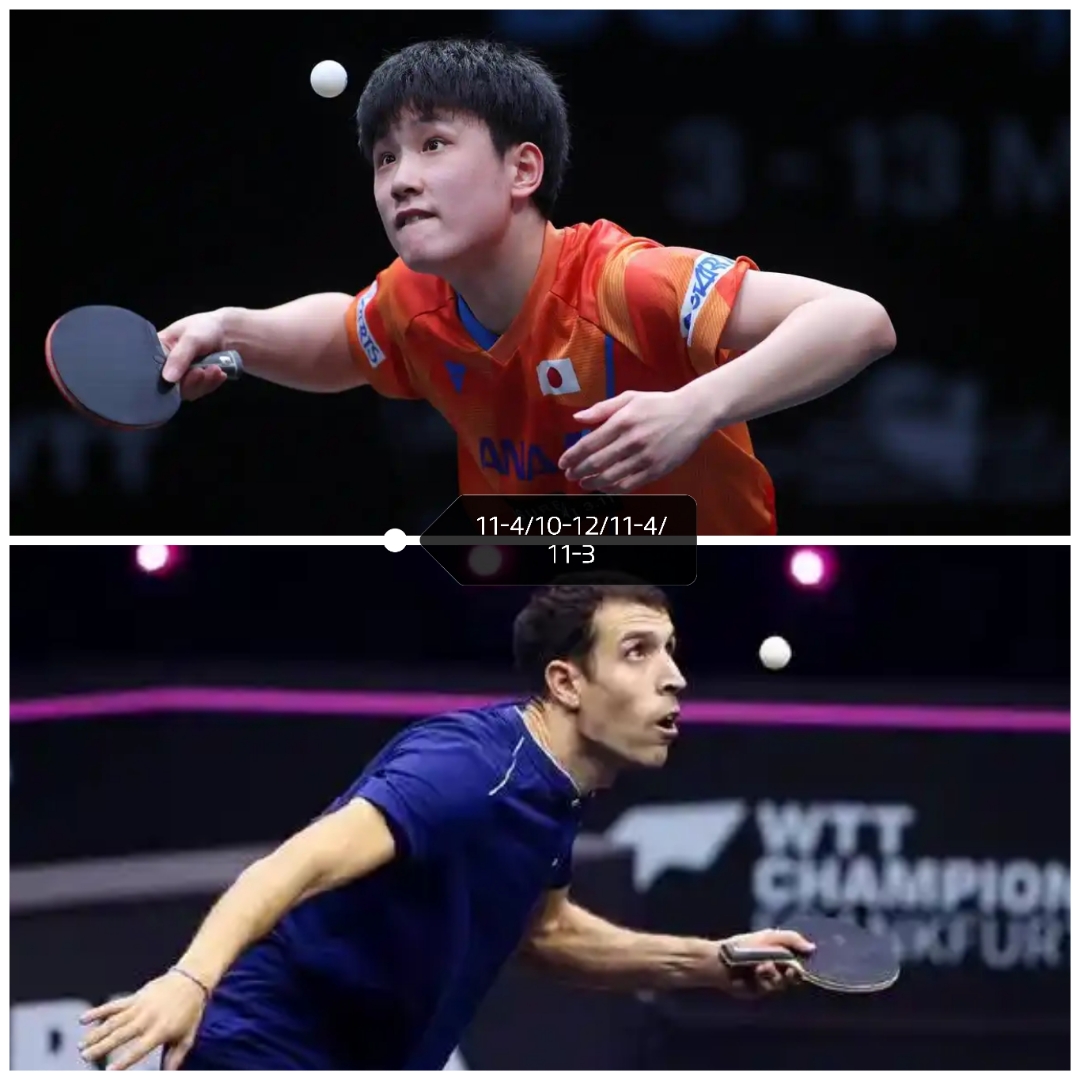 包含波兰乒乓球队轻取日本乒乓球队,张本智和关键制胜的词条 包含波兰乒乓球队轻取日本乒乓球队,张本智和关键制胜的词条