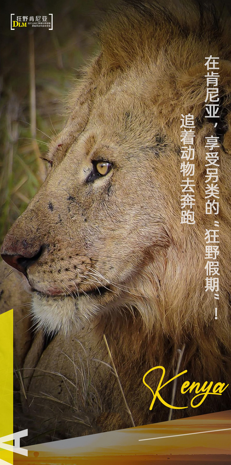 肯尼亚对阵坦桑尼亚，胜者晋级