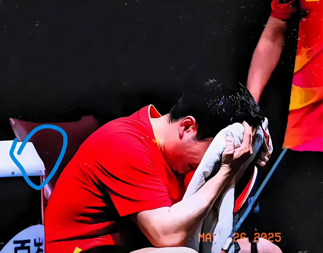 瑞典队力克中国队，梁靖崑扛起全队的简单介绍