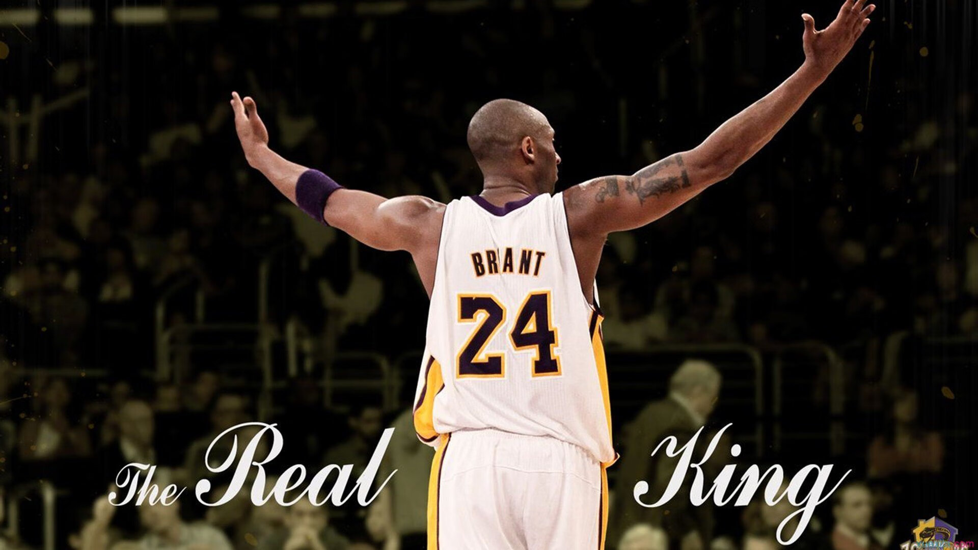 世界排名争夺战之夜,克莱数据全面爆炸