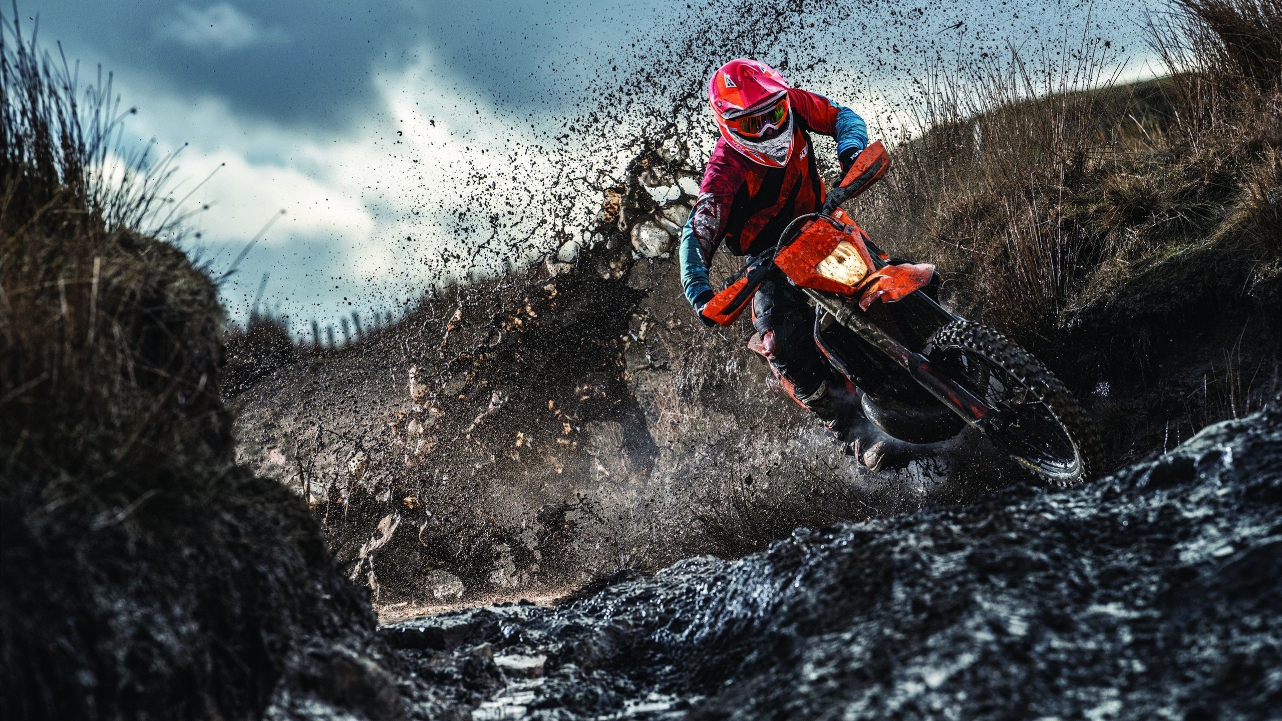 德约科维奇，年终总决赛逆转戴维斯杯，一场定义时代的统治